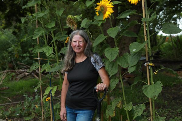 volunteer gardening